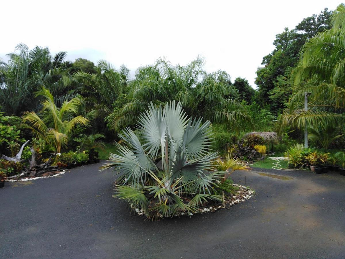 Krasom Homestay Phang Nga Eksteriør bilde