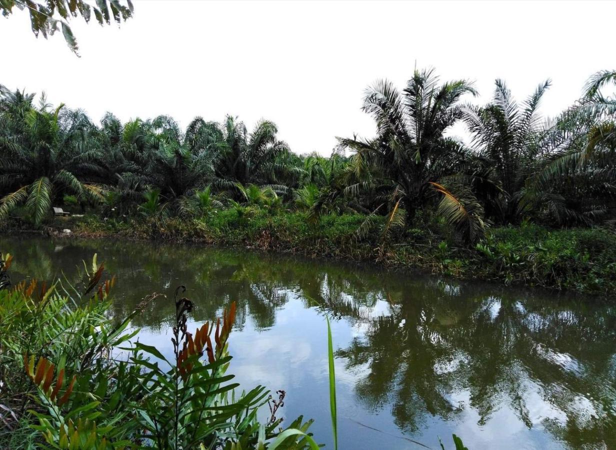 Krasom Homestay Phang Nga Eksteriør bilde