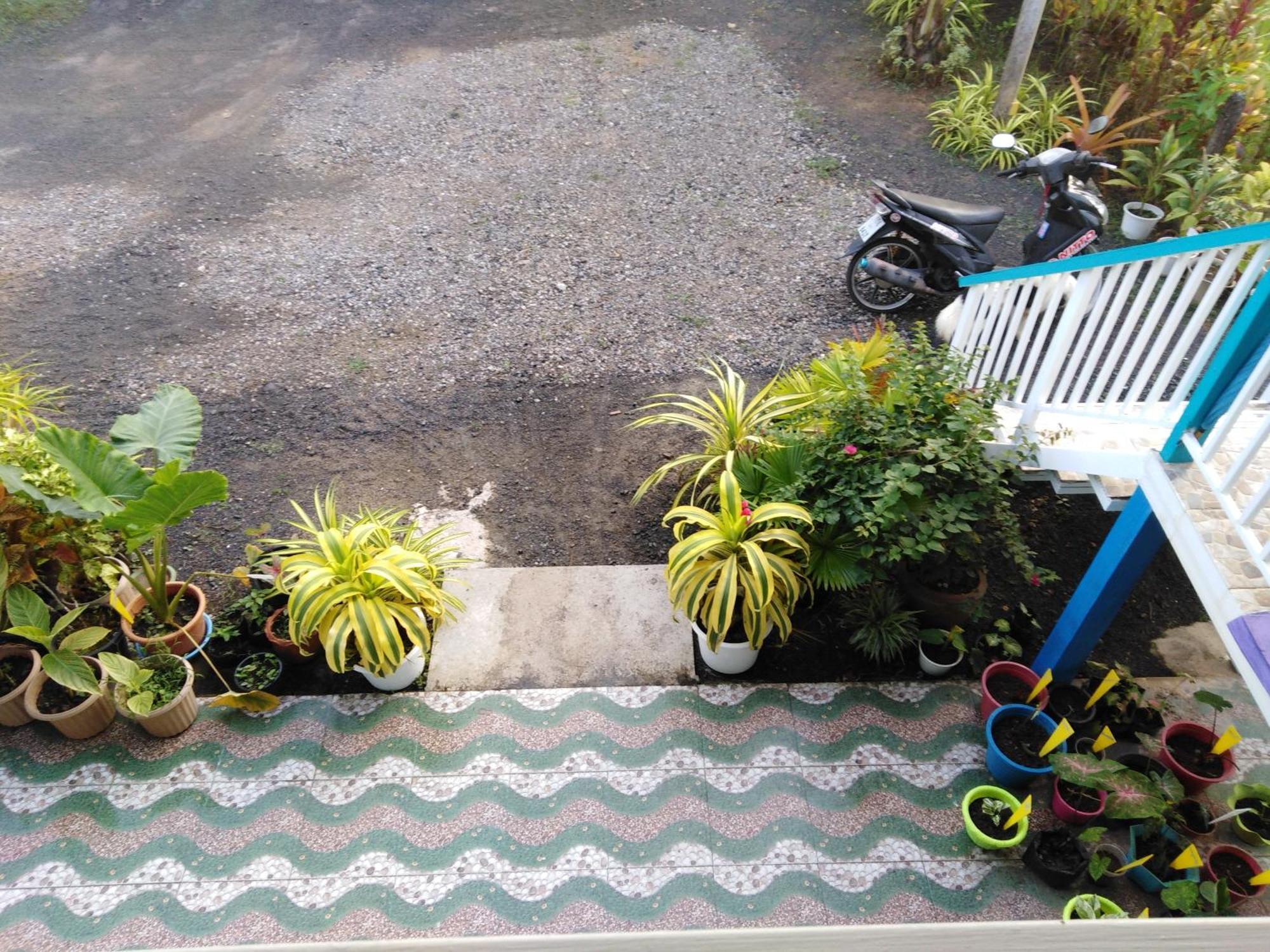 Krasom Homestay Phang Nga Rom bilde