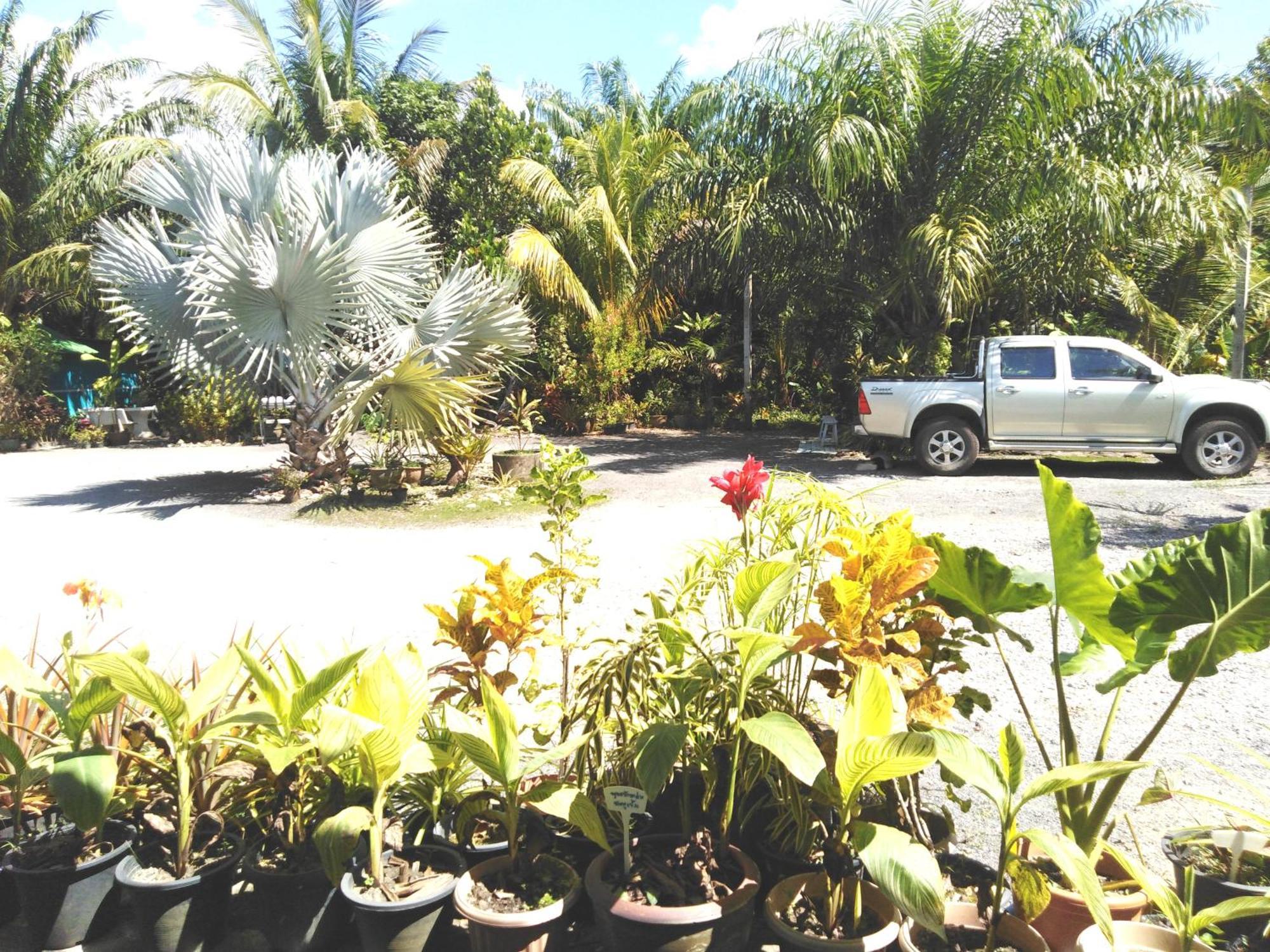 Krasom Homestay Phang Nga Rom bilde